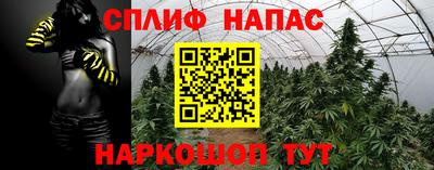 эйфоретик Будённовск